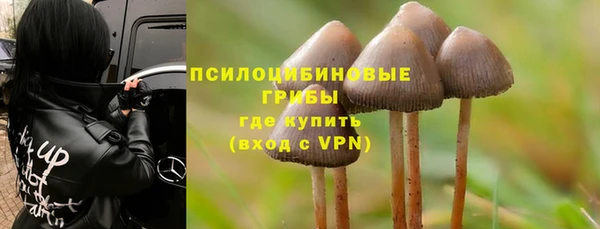 МДПВ Окуловка