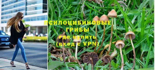 трава Оленегорск